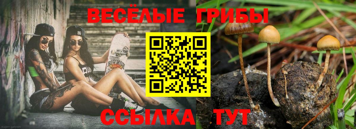 Псилоцибиновые грибы прущие грибы Пыть-Ях